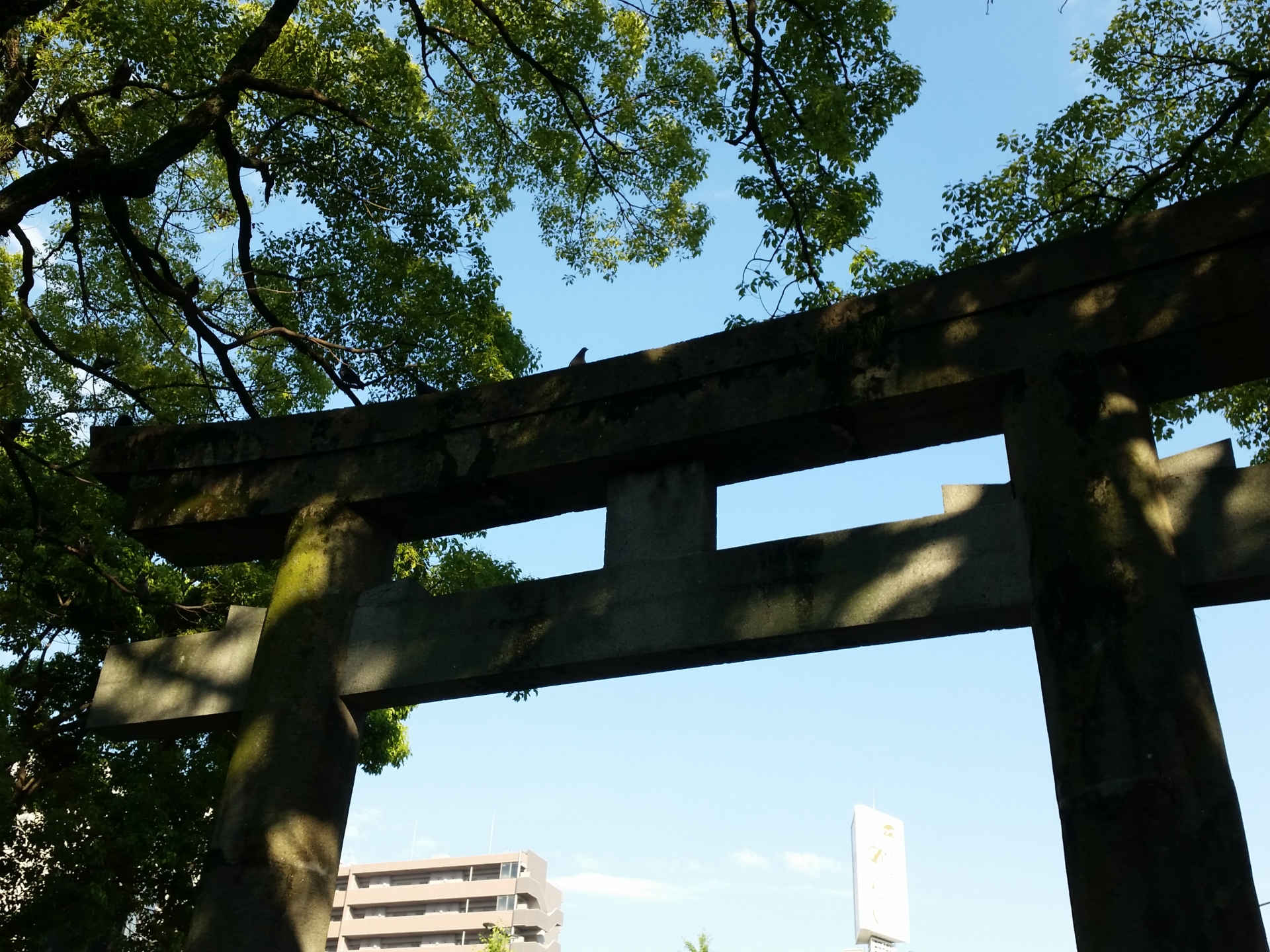 FFJ 住吉神社の鳥居