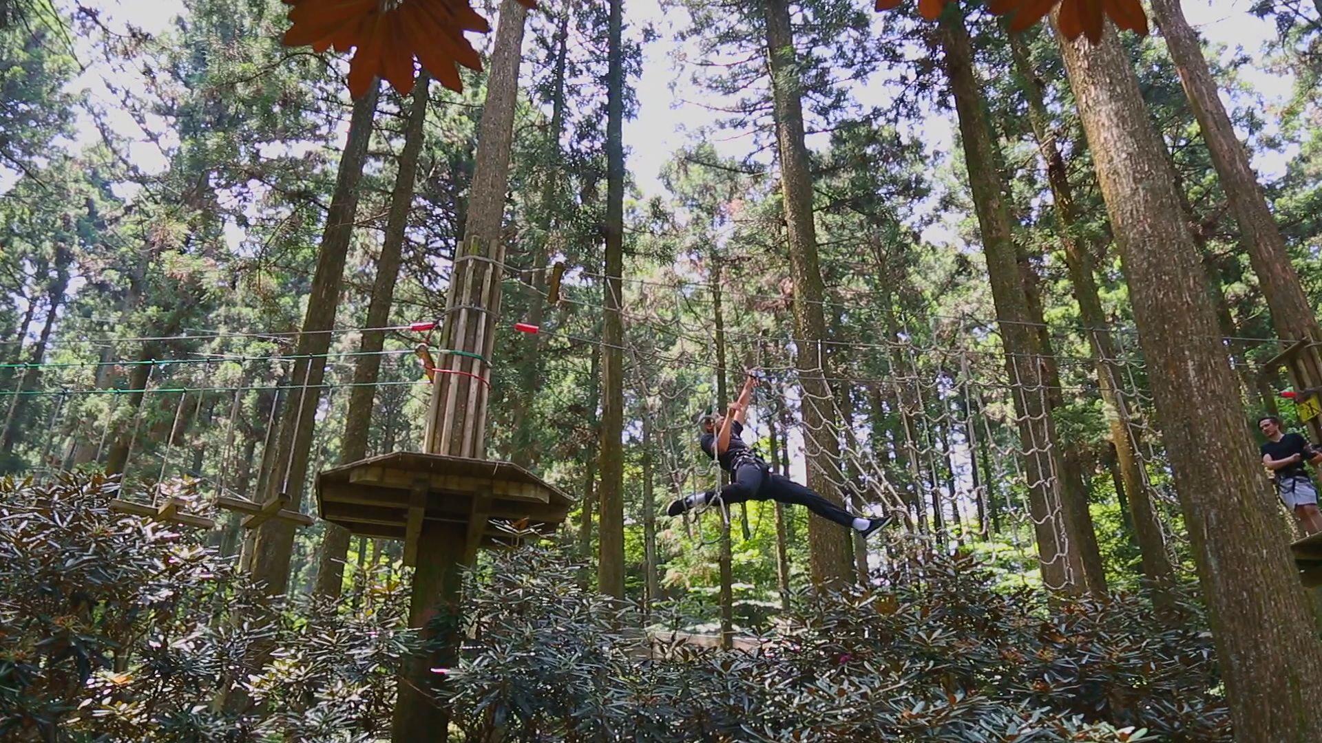 Forest Adventure Itoshima Where Even Adults Can Have Loads Of Fun Feel Fukuoka Japan