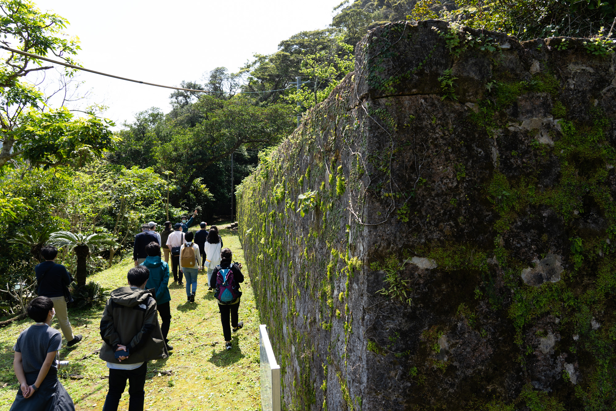 ~時間を忘れる旅、奄美大島【前編】~ Feel Fukuoka Japan