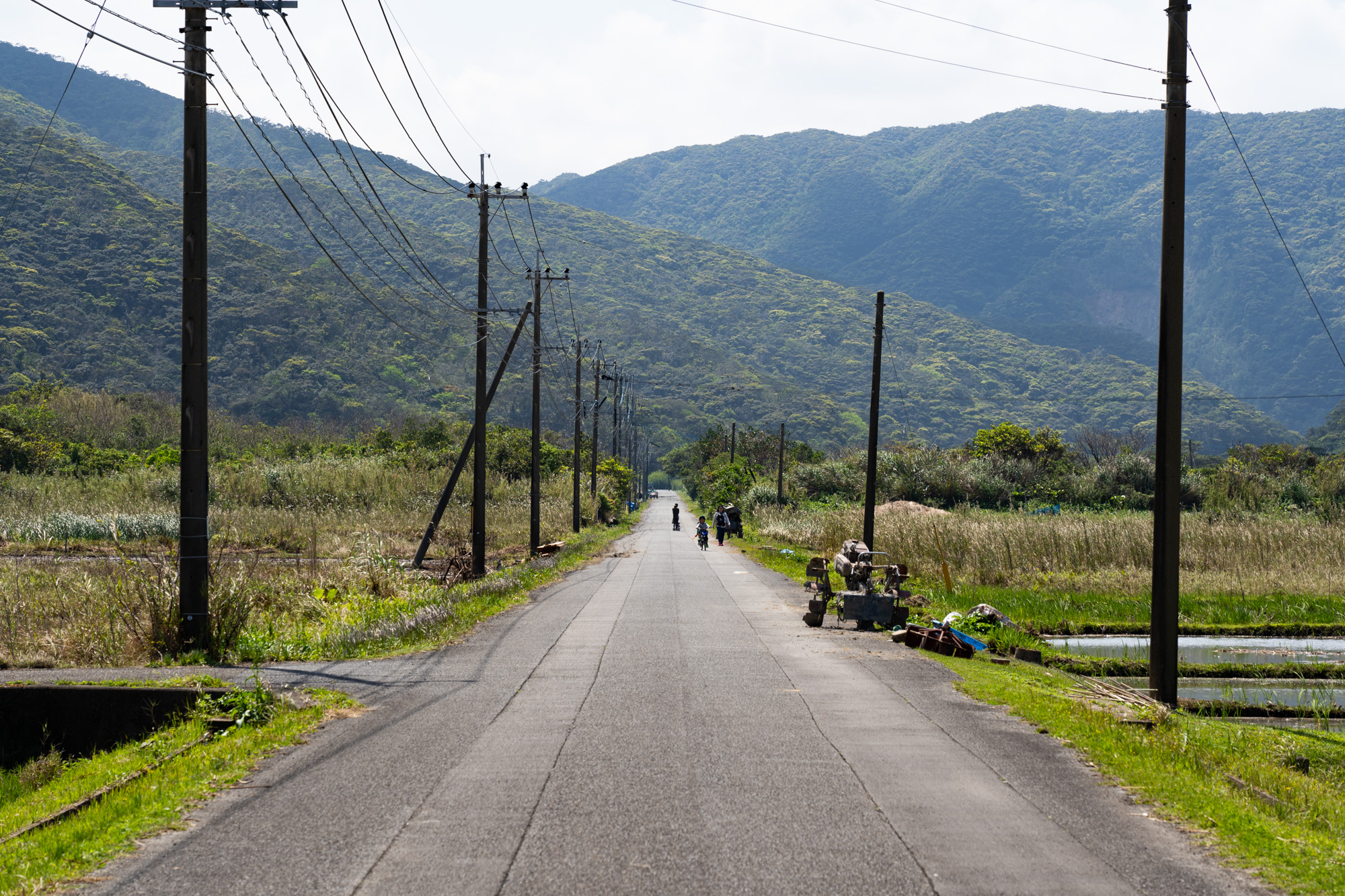 ~時間を忘れる旅、奄美大島【前編】~ Feel Fukuoka Japan